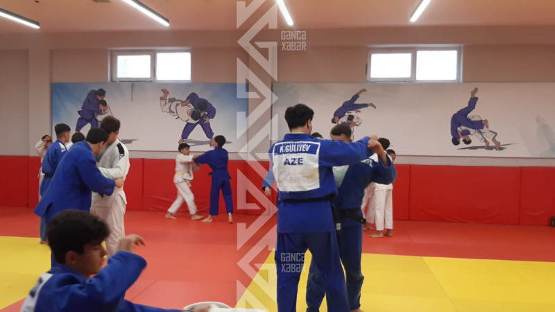 Cüdoçularımız ölkə birinciliyində güclərini sınayırlar