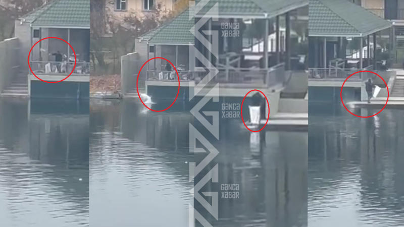 Kürü çirkləndirən şəxs cərimə olundu