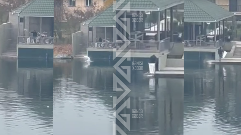 Villadan zibilləri Kürə atdılar - VİDEO + YENİLƏNİB