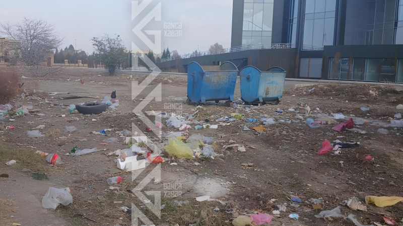 Gəncədə iri idman obyektinin ətrafı zibilliyə çevrilib