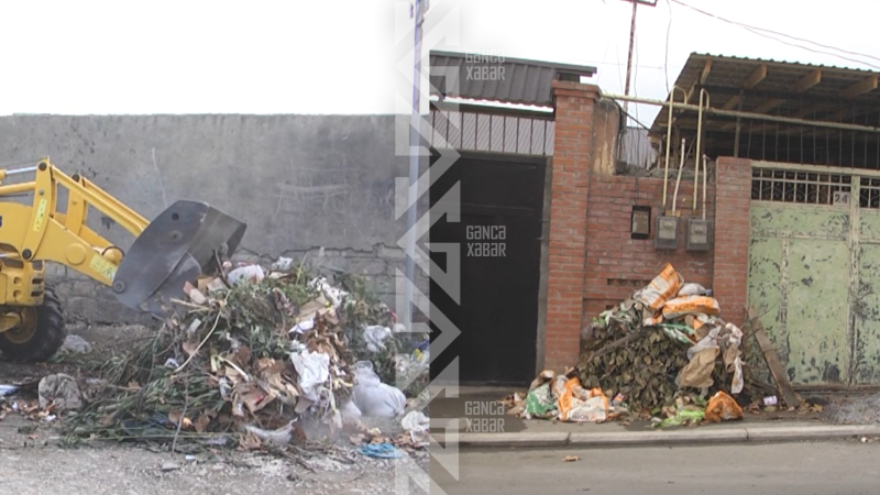 Gəncəni zibilləyən 20-dən çox şəxs cərimələnib - VİDEO