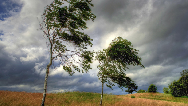 Qərb bölgəsində güclü külək əsəcək