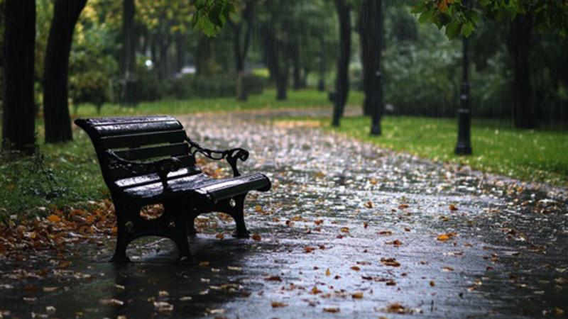 Noyabrın 12-si saat 16:00-a olan FAKTİKİ HAVA