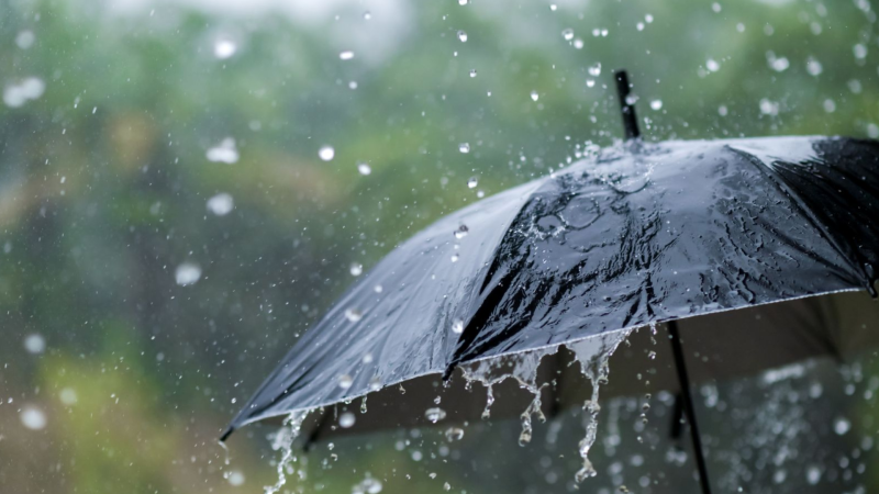 Saat 09:00-a olan FAKTİKİ HAVA