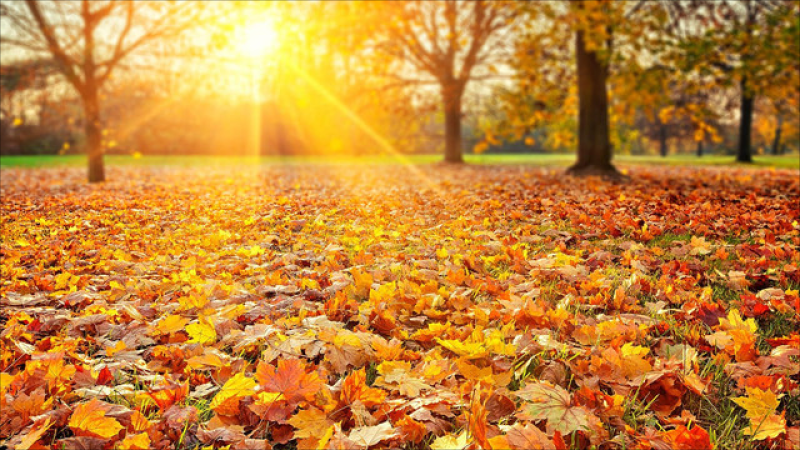 Sabah 25 dərəcə isti olacaq - PROQNOZ