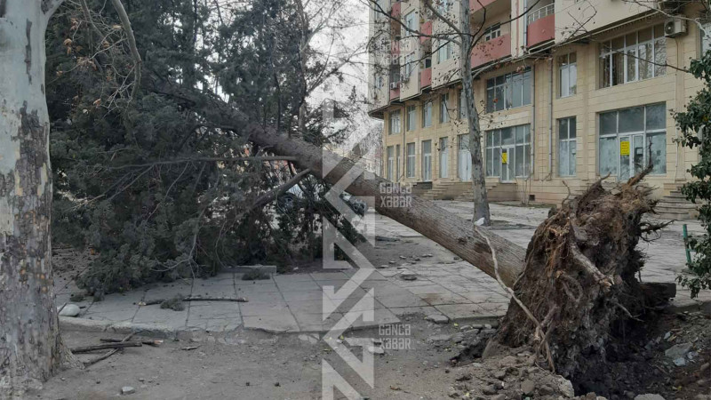 Bölgəmizdə hava KÜLƏKLİ olacaq