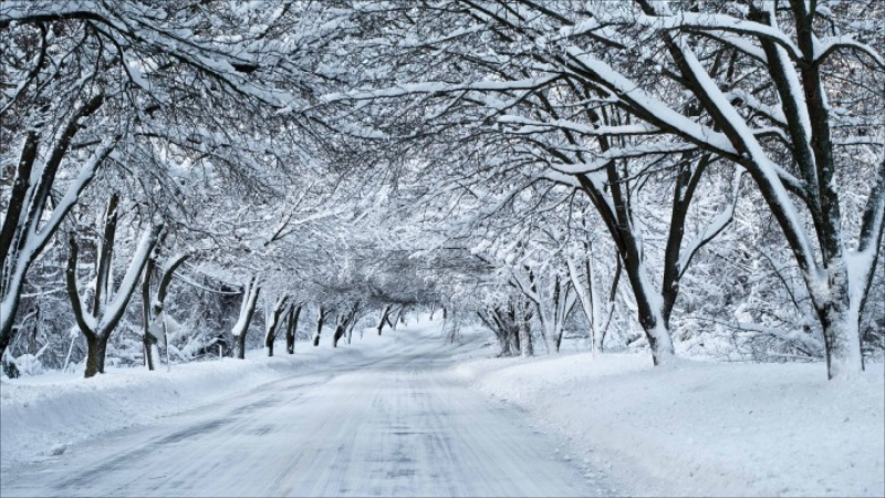 Şənbə günü hava necə olacaq?- PROQNOZ