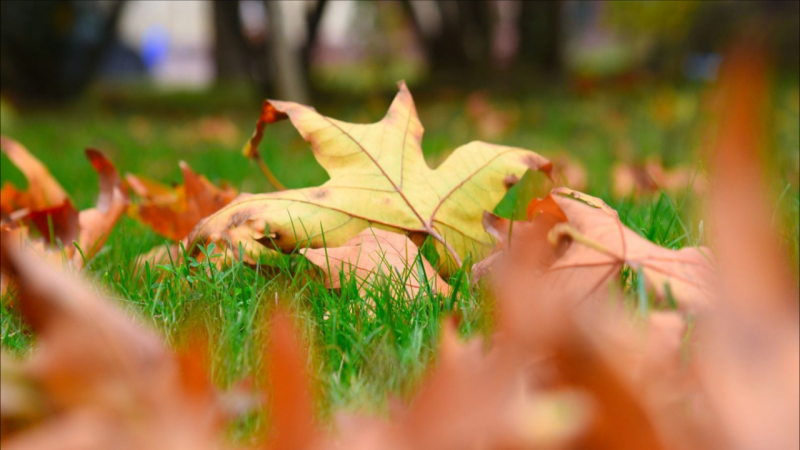 Sabah hava necə olacaq?