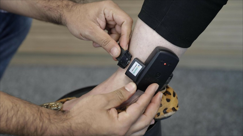 Arvadını mühasib, qardaşı oğlunu müavin təyin etdi - Sabiq sədrə elektron qolbaq taxıldı