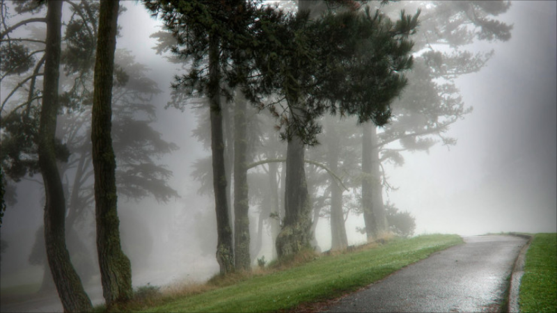 Sabah hava necə olacaq?