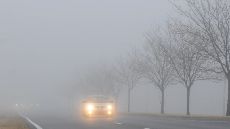 Bəzi ərazilərdə görünüş 200 metrədək məhdudlaşıb - FAKTİKİ HAVA