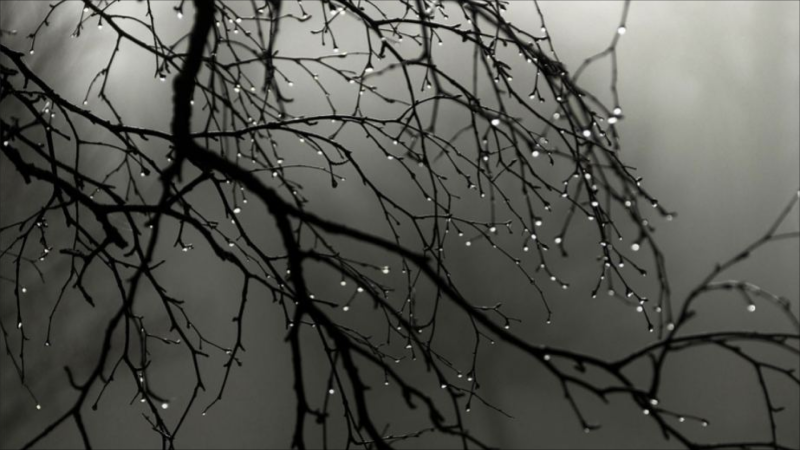 Bəzi ərazilərə yağış yağıb, duman olub - FAKTİKİ HAVA