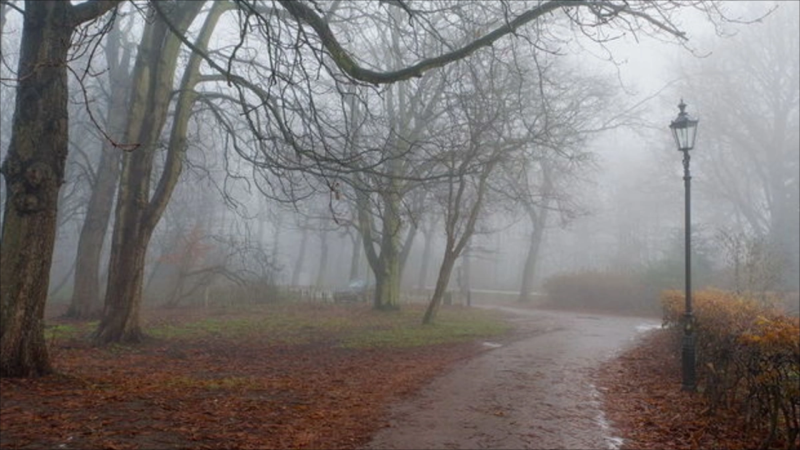 Sabah hava necə olacaq? - PROQNOZ