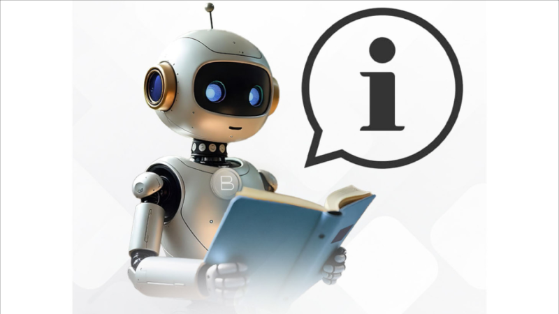 BilBacar: noyabr ayı üzrə statistika