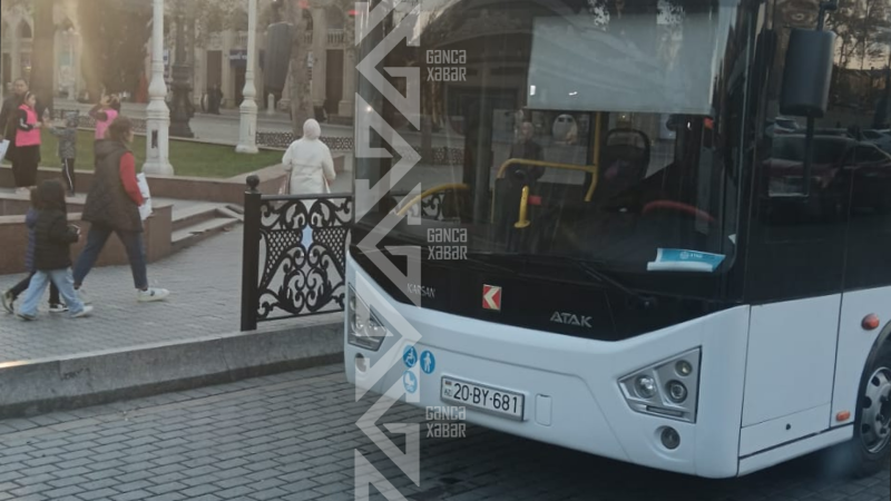 Gəncədə dalana dirənən avtobus probleminə İH-dən TÖVSİYƏ