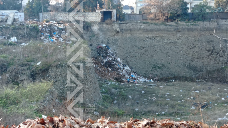 Zibilliklə bağlı qurumdan REAKSİYA: “Təmizliyi nəzarətdə saxlayırıq”