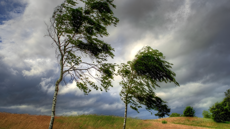 Bayram günlərində GÖZLƏNİLƏN HAVA PROQNOZU
