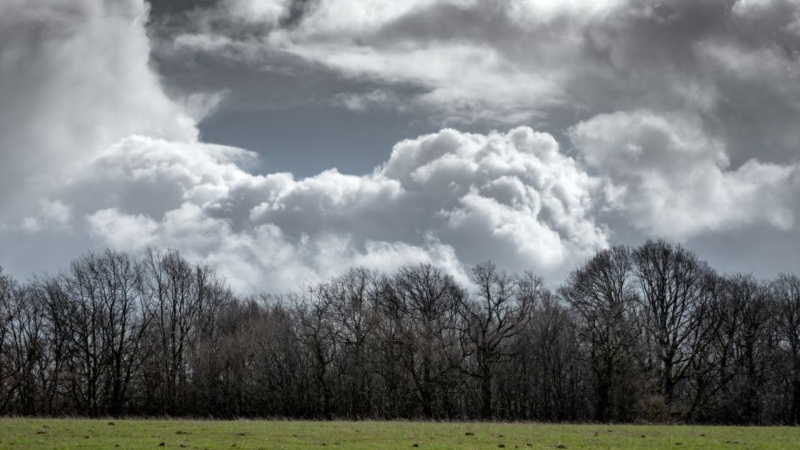 Qərb bölgəsində hava dəyişəcək? – GÖZLƏNİLƏN HAVA ŞƏRAİTİ
