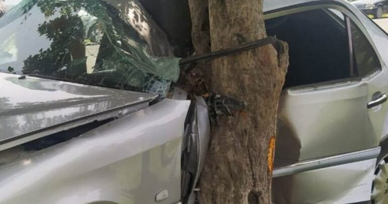 Mingəçevirdə maşın ağaca çırpılıb, sürücü xəsarət alıb