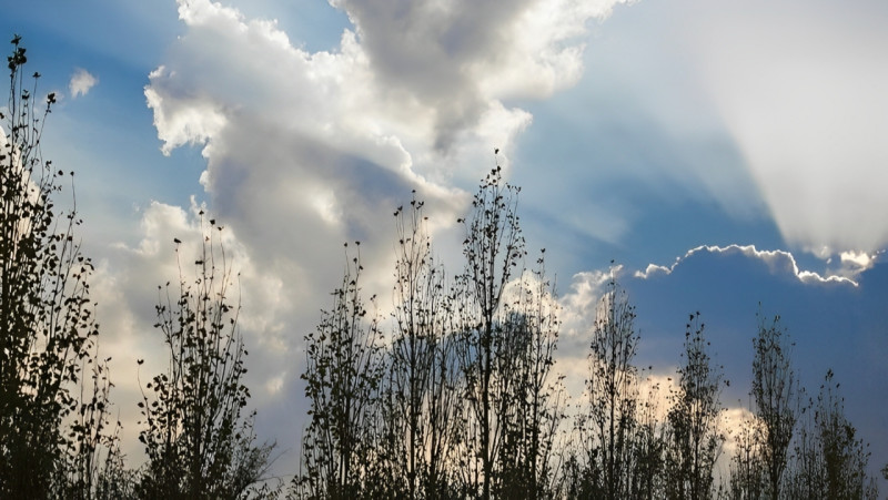 Sabahın havası açıqlanıb