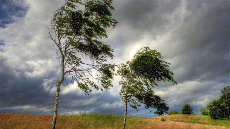 Küləkli hava ilə bağlı XƏBƏRDARLIQ