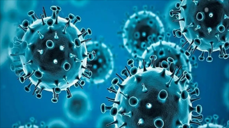 Azərbaycanda yeni yayılan virusla bağlı NAZİRLİKDƏN AÇIQLAMA