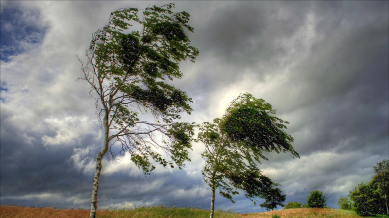 Sabah bəzi yerlərdə külək əsəcək, duman olacaq - PROQNOZ