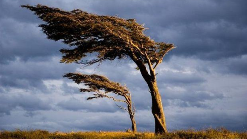 Sabah külək güclənəcək - XƏBƏRDARLIQ