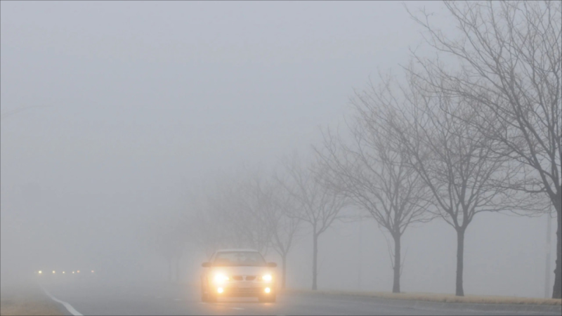 Bəzi rayonlarda duman olub - FAKTİKİ HAVA