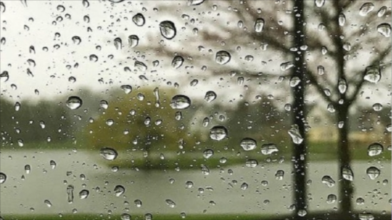 Bu rayonlara yağış yağıb - FAKTİKİ HAVA