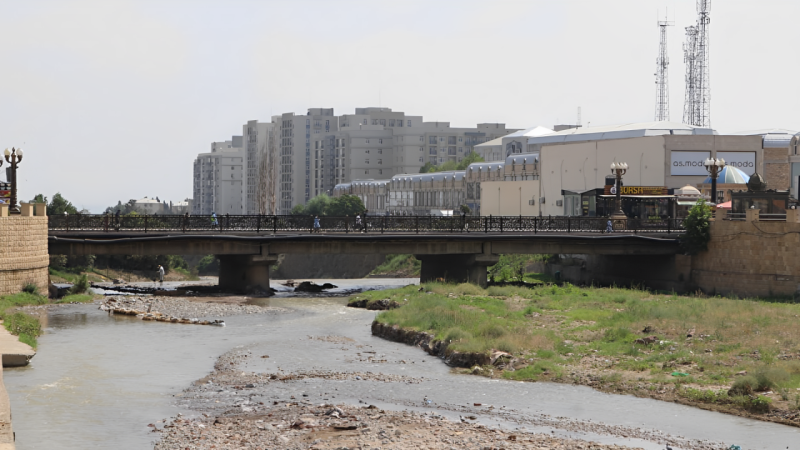 Gəncə sakinləri ekoloji aksiya keçirəcəklər