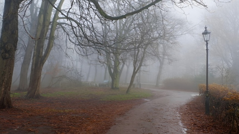 Sabahın hava proqnozu açıqlanıb