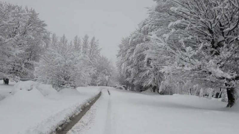 Sabahın hava durumu bəlli olub