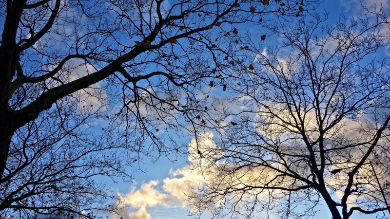 Sabaha olan hava PROQNOZU