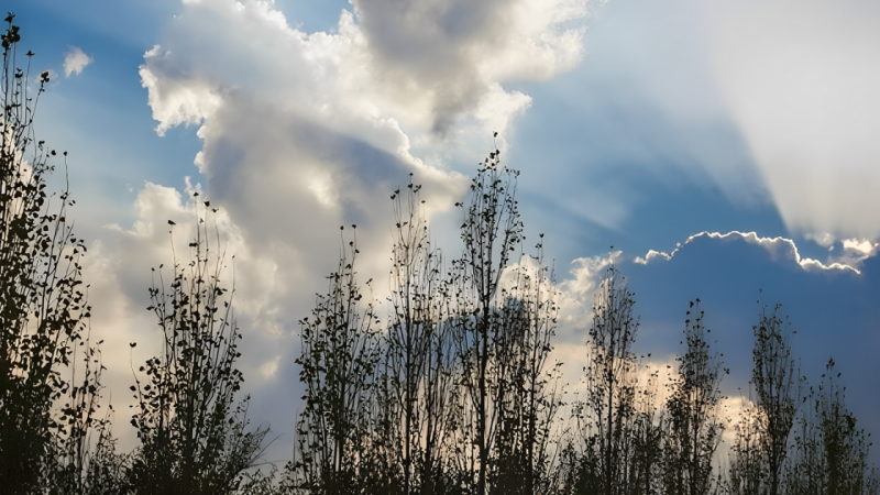 Qərb bölgəsində gözlənilən hava şəraiti bəlli oldu
