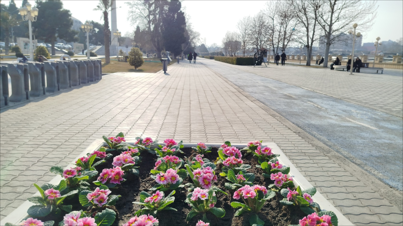 Gəncədə MKTİB tərəfindən yaşıllaşdırma və təmir işləri aparılıb - FOTO