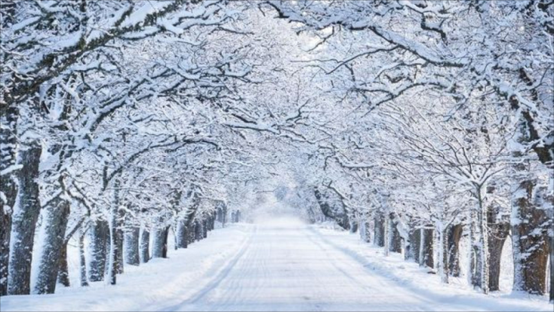 Bu rayonlara qar yağıb - FAKTİKİ HAVA