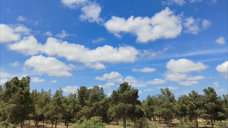 Sabah hava necə olacaq? - PROQNOZ