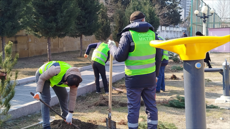 Gəncədə bu parkın yaşıllıq zolağı genişləndirilib - FOTO