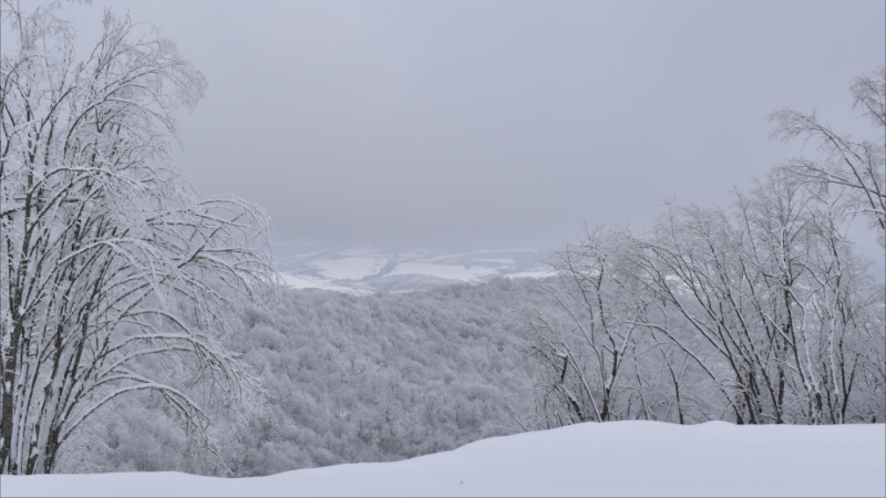 Sabah hava necə olacaq? - PROQNOZ