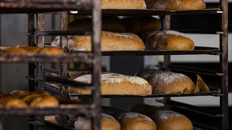 Çörəkbişirmə sexində zəhərlənənlərin son vəziyyəti - YENİLƏNİB