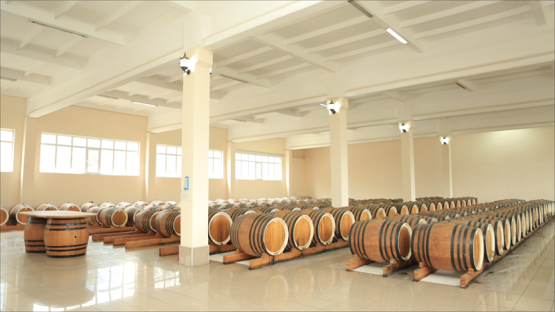 Gürcüstanın Gəncədəki Baş konsulu Gəncə Şərab zavodunda olub - FOTO