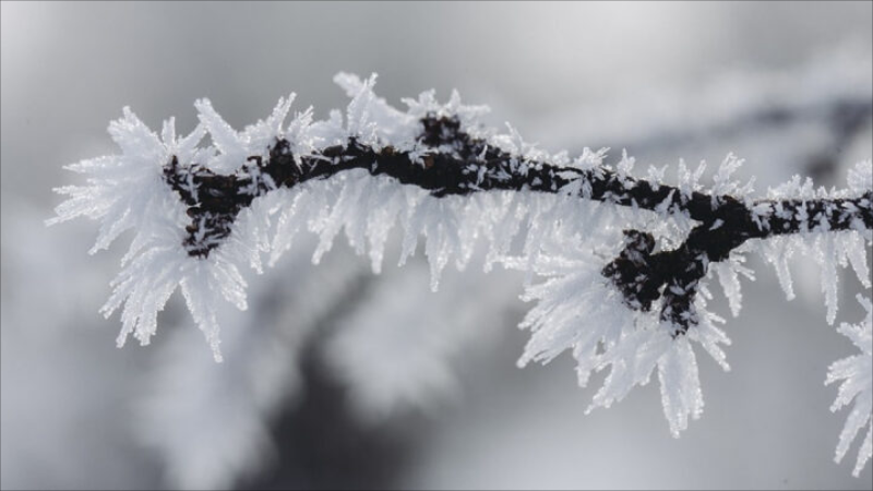 Dağlıq rayonlarda 13 dərəcəyədək şaxta olub - FAKTİKİ HAVA