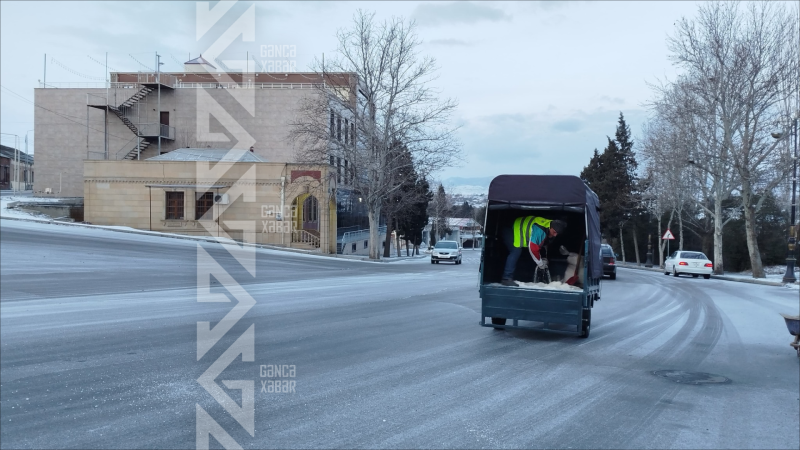 Gəncə küçələri gücləndirilmiş rejimdə təmizlənir