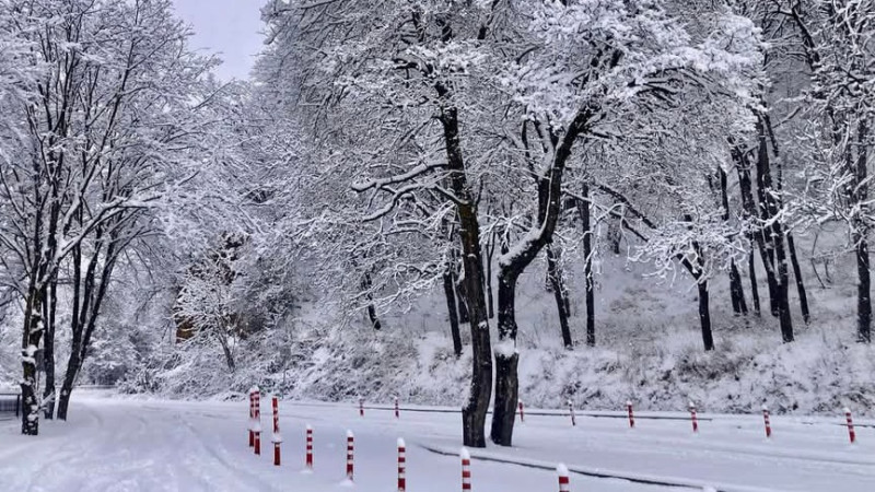 Sabah da qar yağacaq - PROQNOZ