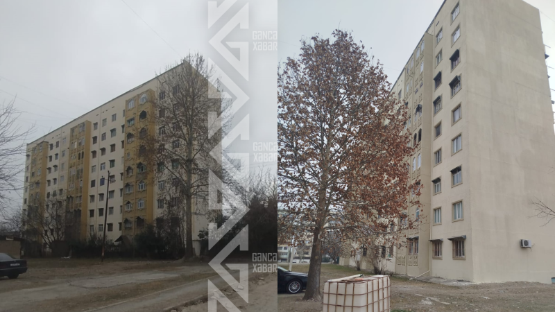 Gəncədə baxımsız bina yenə diqqətsiz qaldı - VİDEO