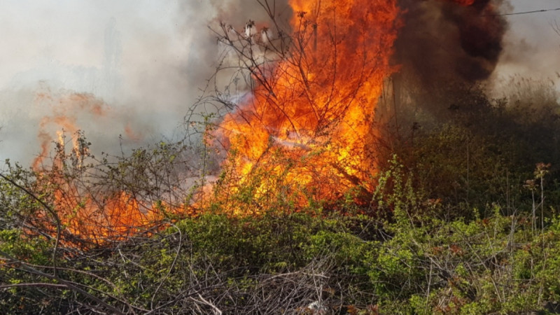 Şəmkirdə yanğın baş verib