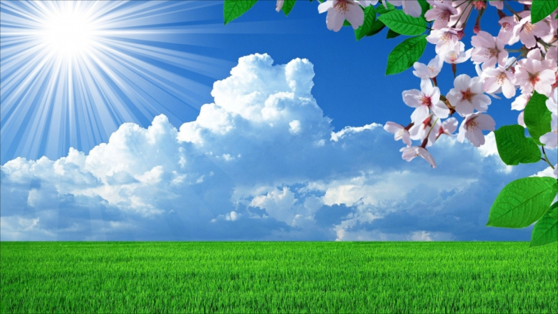 Sabah hava necə olacaq?