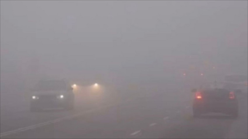 DYP sürücü və piyadalara xəbərdarlıq edib