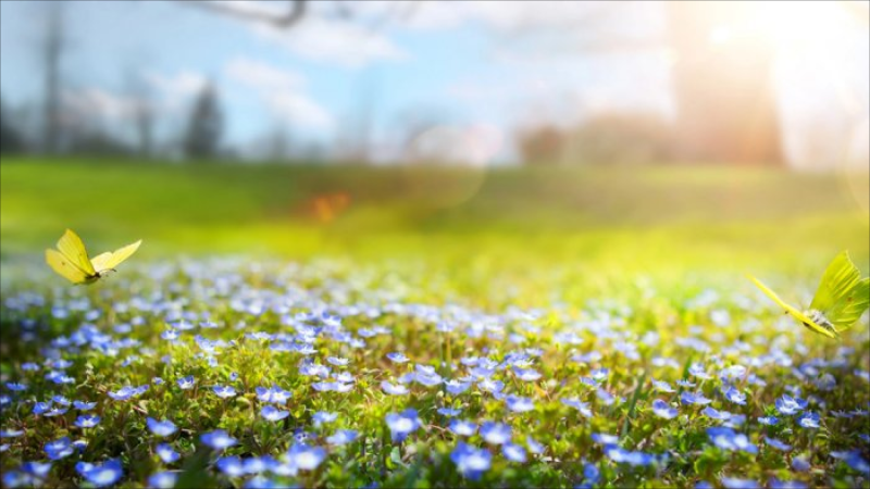 Sabah 22 dərəcə isti olacaq